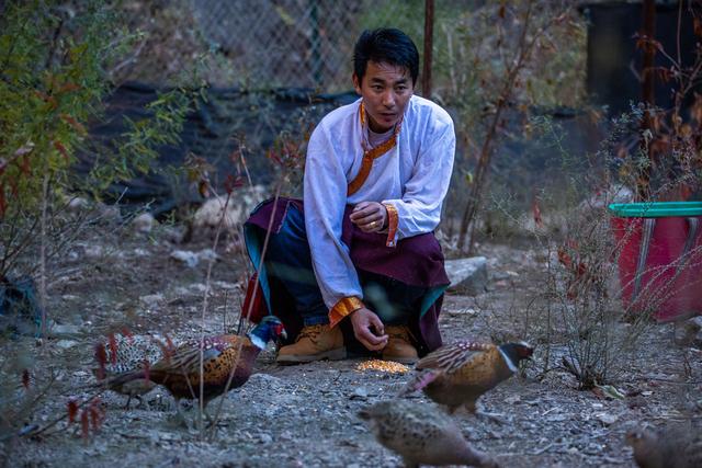 鲁茸史劳：香格里拉飞出“金凤凰”