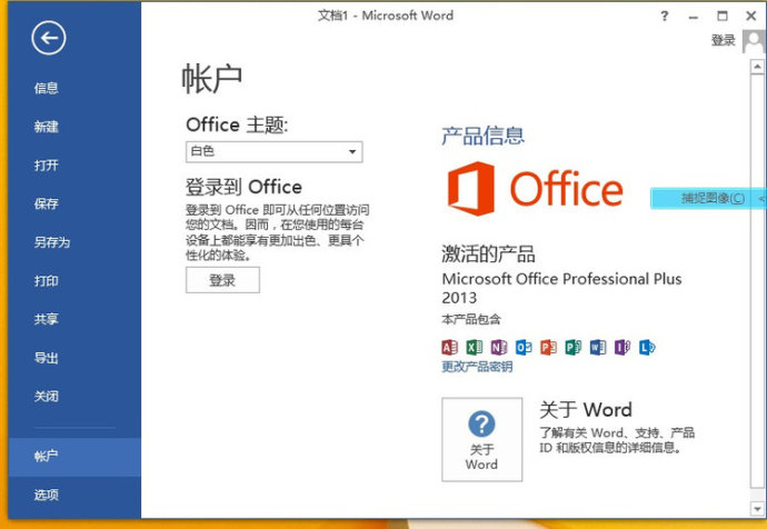 Office 2013 SP1专业增强版