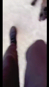 就让它看着我吃了个鸡腿，谁成想还急眼了