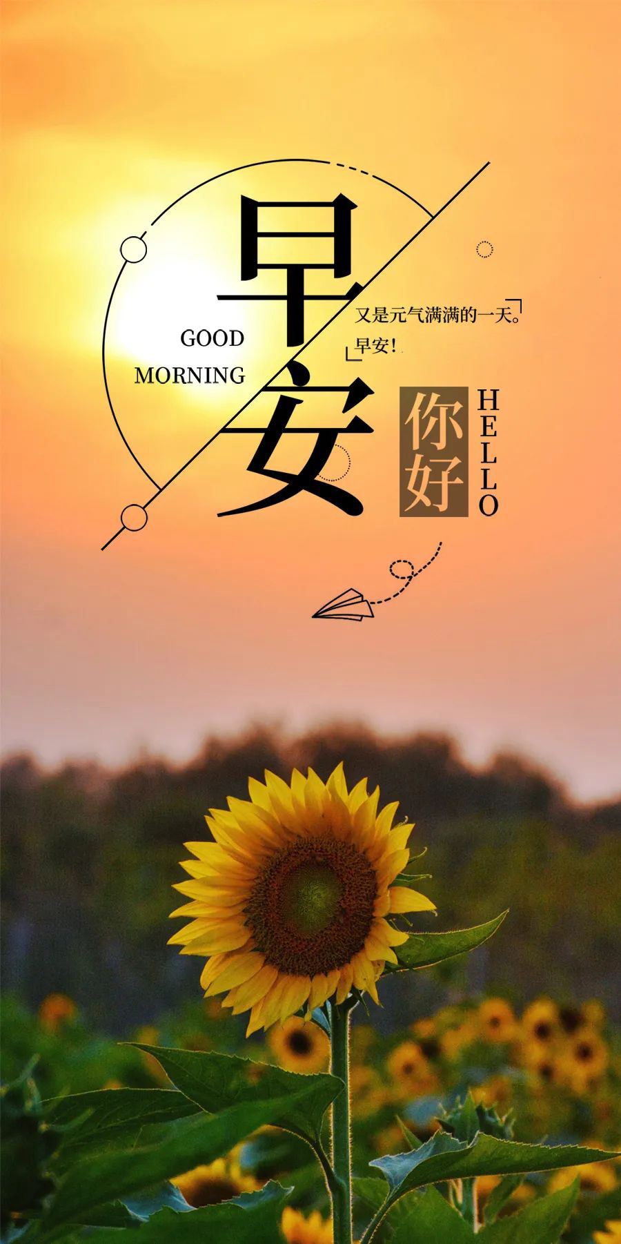 周三早晨好正能量问候语句子图片带文字