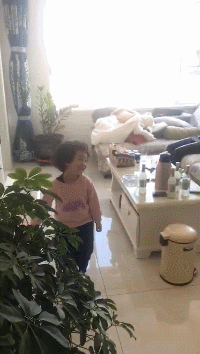 搞笑动图：这吃相，萌的不要不要的了！
