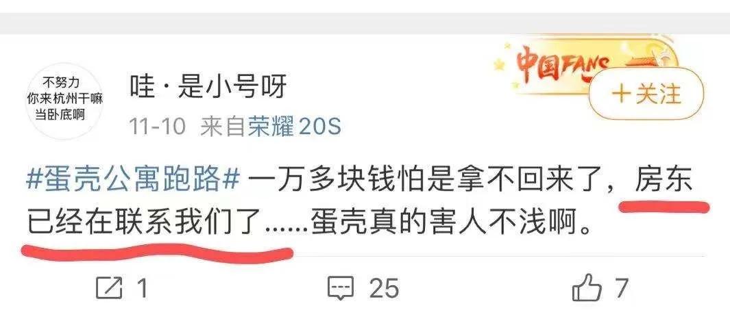 蛋壳公寓的四角困局