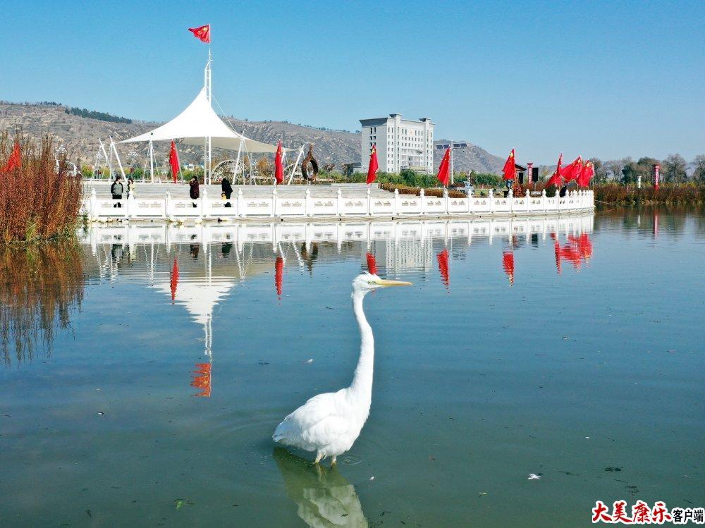 康乐胭脂湖畔白鹭来