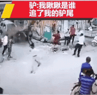 爆笑GIF：没错，这傻子是我爸爸！亲的！
