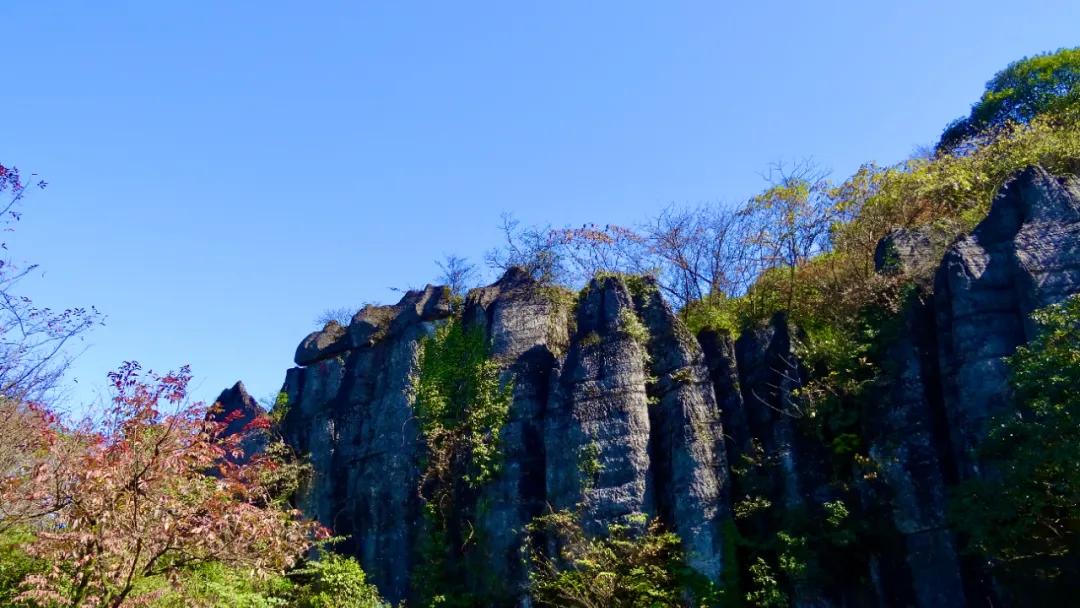 每年都值得打卡的山王坪彩林季如约而至
