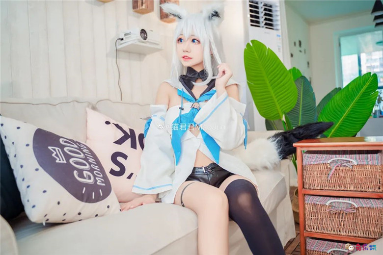 猫君君MaoJun丨《hololive》白上吹雪