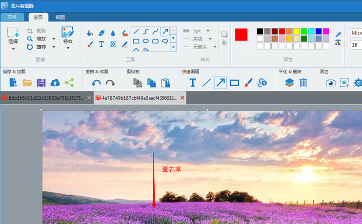 专业截屏王 Apowersoft Screen Capture Pro v1.4.8.1 中文特别版下载