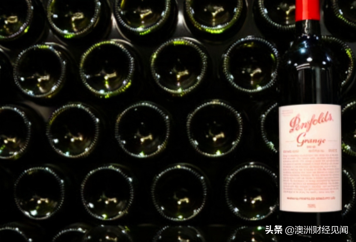 澳洲红酒巨头启动全面改革应对中国打击！但要找新市场还得好几年！
