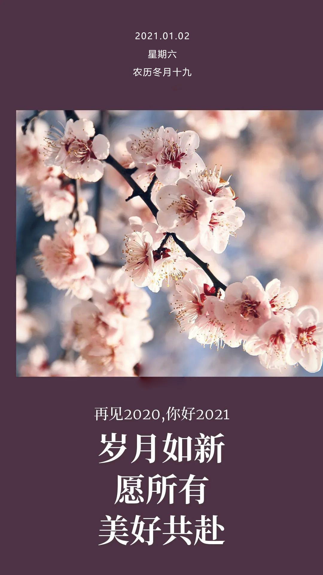 2021正能量励志早安图片心语句子，1月早上好日签问候语录