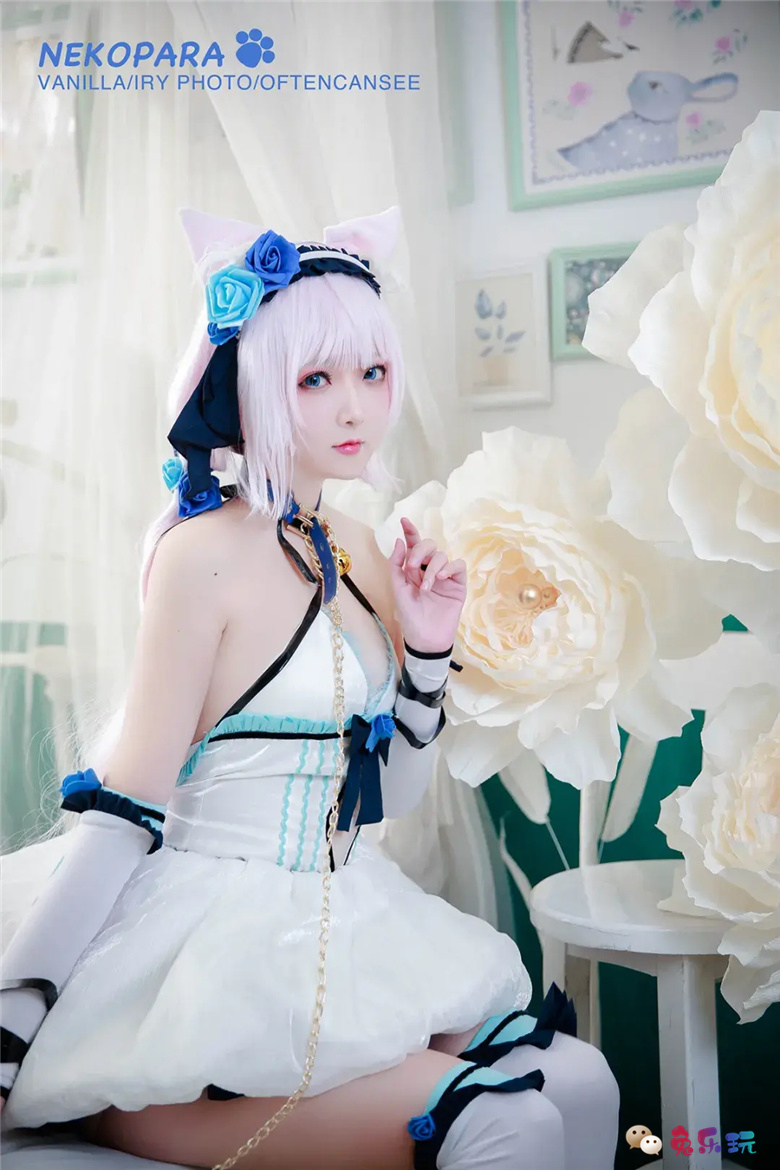 艾瑞有点甜图包合集精选丨猫娘乐园·香草