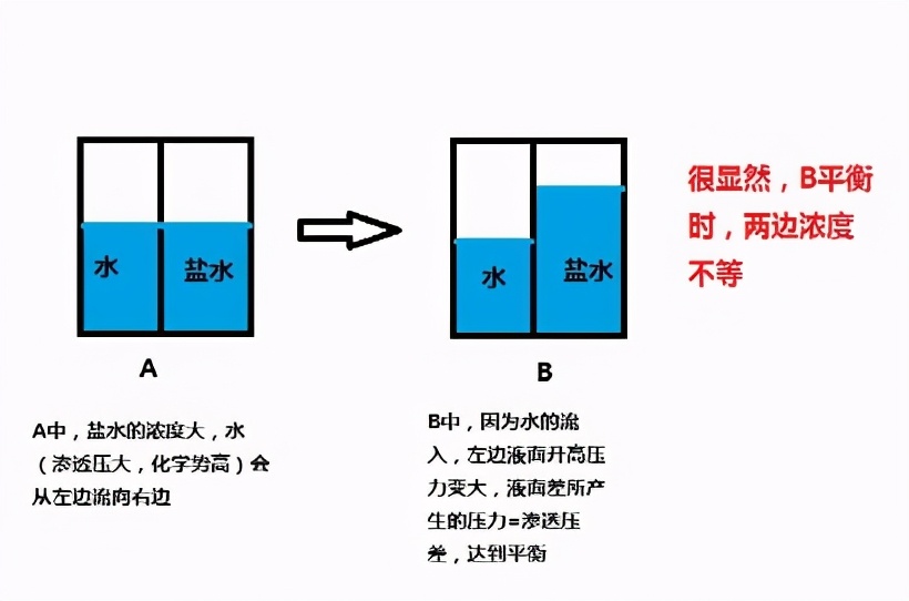 水的渗透与渗透压海水淡化和溶解氧的渗透