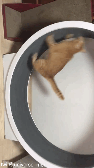 搞笑动图GIF：妹子调皮了！我都想试试了！