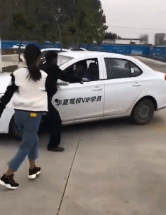 搞笑GIF图片：一个没有天敌却硬生生把自己玩成珍惜动物的品种