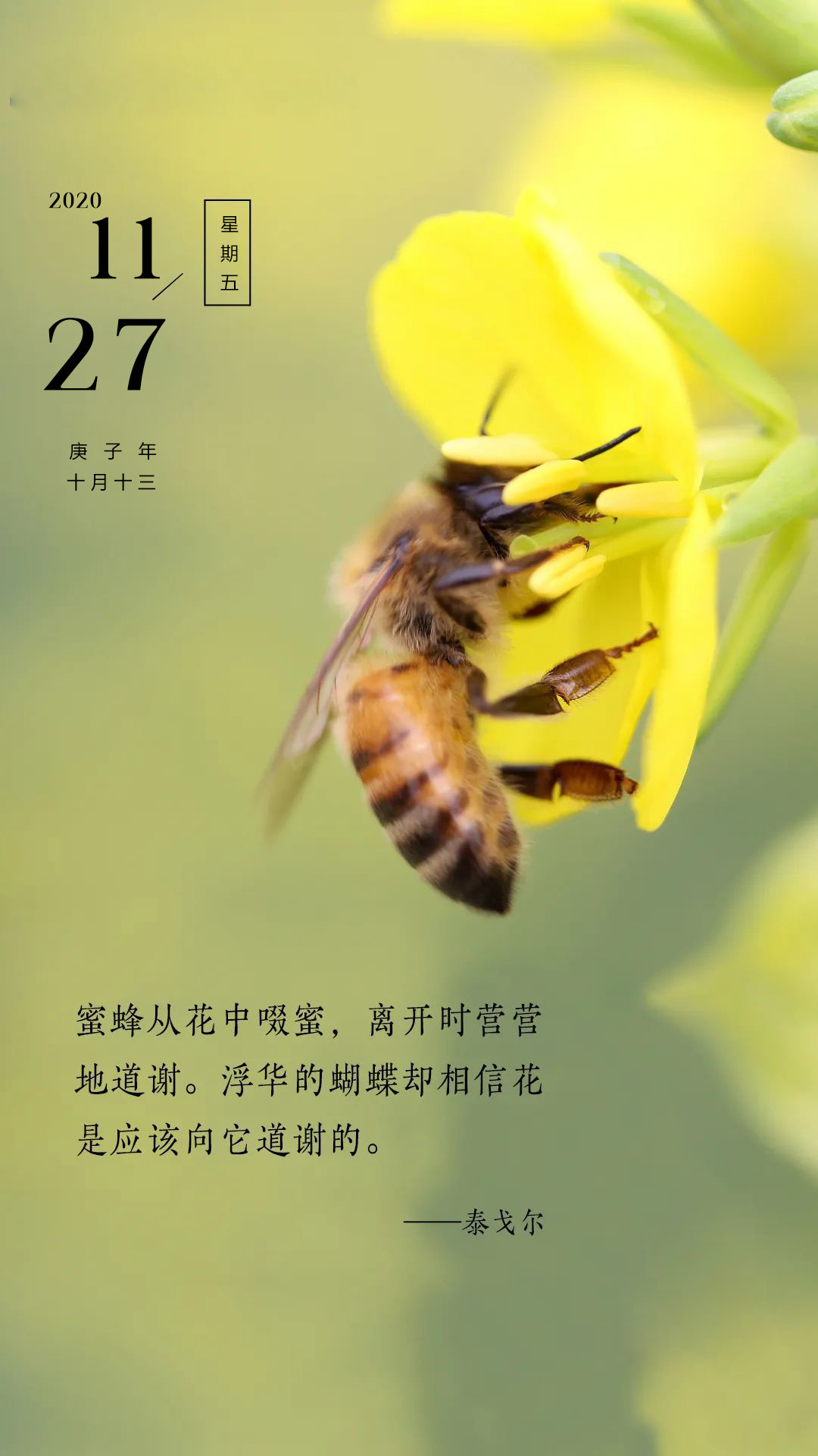 适合发朋友圈的早安图片正能量励志，激励人心说说语录