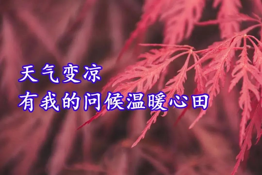 秋天早上好祝福语句表情图片