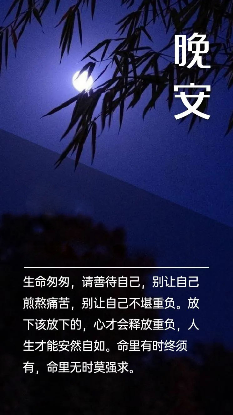 早安心语走心的句子：话糙理不糙，二话不说，努力赚钱