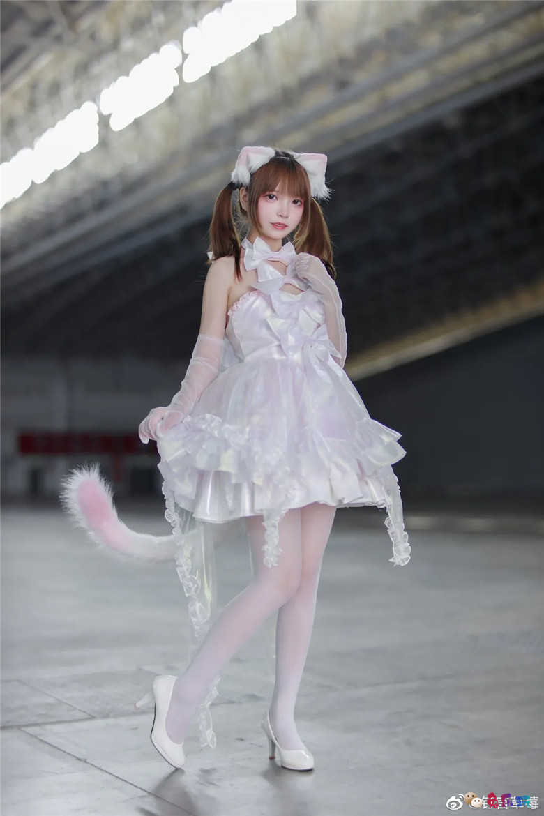 钉宫草莓丨小猫咪