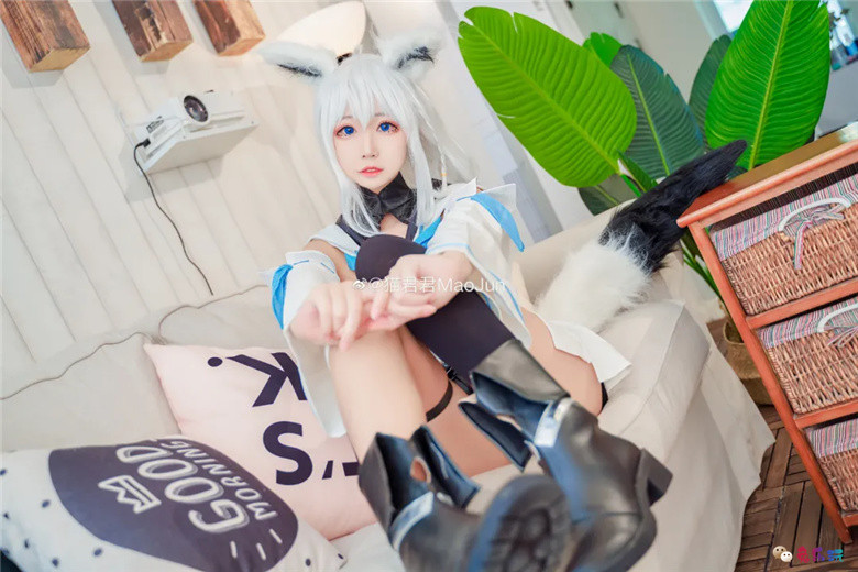 猫君君MaoJun丨《hololive》白上吹雪