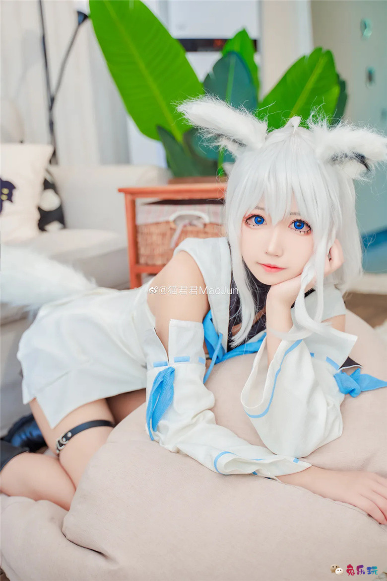 猫君君MaoJun丨《hololive》白上吹雪
