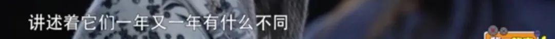 李子柒首度公开背后团队，这些丑陋再也藏不住了…
