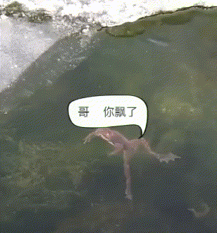 很幽默的GIF图片：非得逗人家，把妹子惹急了吧