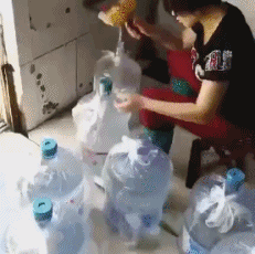 好笑的动态图片：二哈遇到大哥，行匍匐之礼！