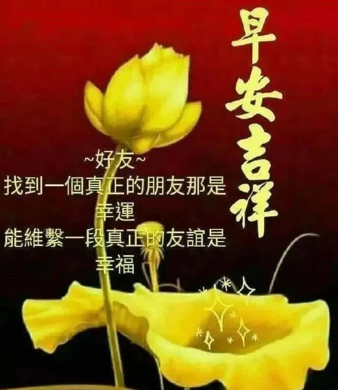 早晨好问候语句带图片文字