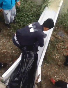 有意思的GIF：这个男友是货真价实的，而且很有味道