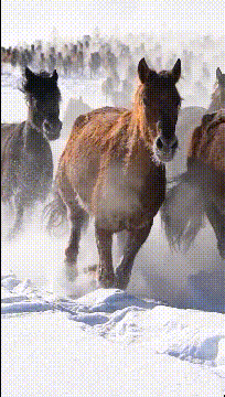太搞笑的gif:这车厉害了,据说坐一次都能怀孕