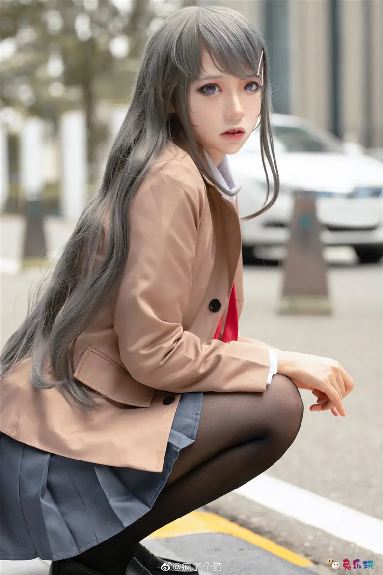 疯了个猫丨《青春猪头少年系列》樱岛麻衣