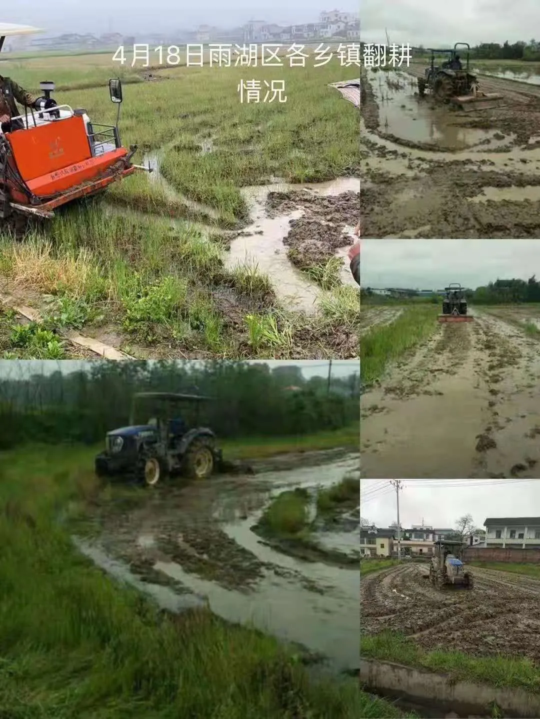 “九个迅速”硬措施​，湘潭市再次掀起早稻生产新高潮！
