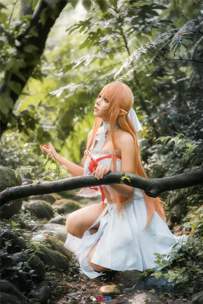 是行酱吖丨《刀剑神域》亚丝娜